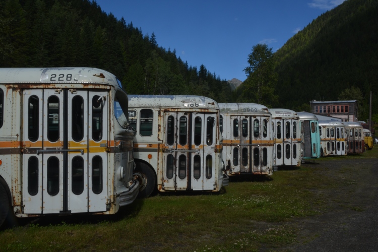 busses lined up